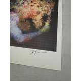 Jake Kobrin signed The Red Pill Blotter Art print