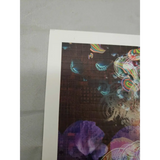Jake Kobrin signed The Red Pill Blotter Art print