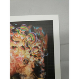 Jake Kobrin signed The Red Pill Blotter Art print