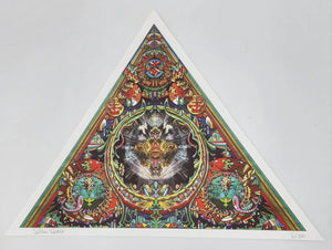 Steven Cerio Blotter Art Triangle