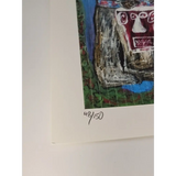45800795