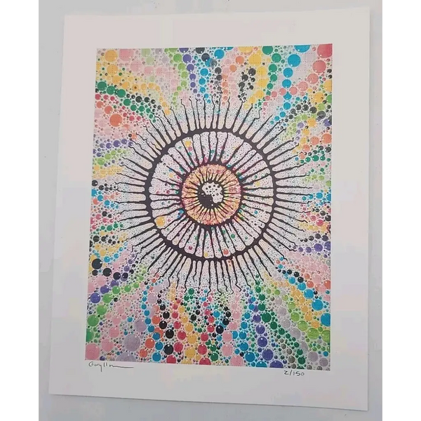 44606796