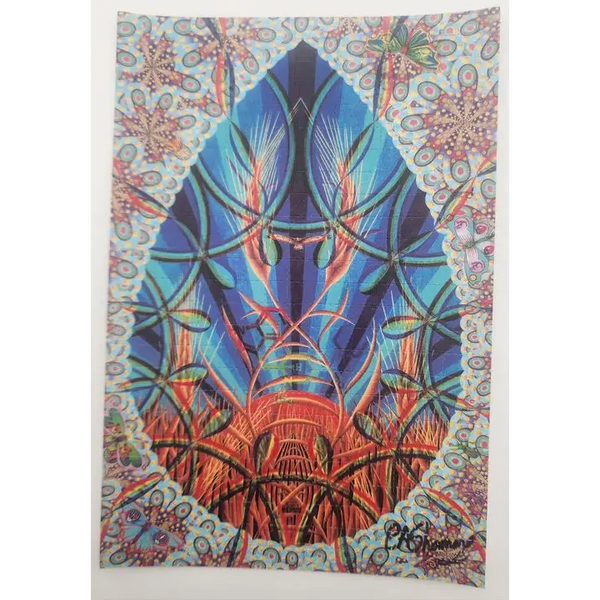 Ciaran Shaman ’Acid Drops’ Signed Blotter Art Print