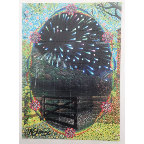 Ciaran Shaman ’ Leonid Pansermia’ Signed Blotter Art Print