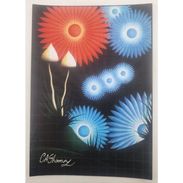 Ciaran Shaman ’Orion Flowers’ Signed Blotter Art print