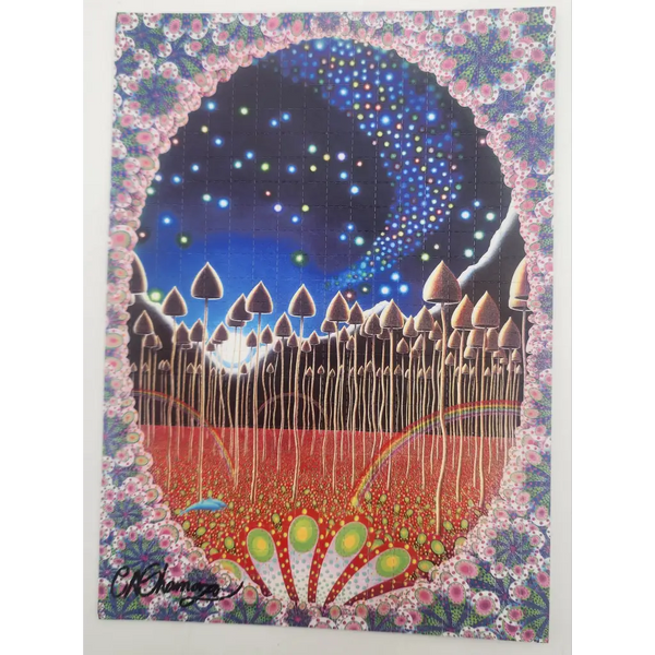 Ciaran Shaman ’Reflecting The Vocal Chords Of Gaia’ Signed