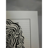 44607826