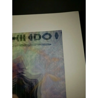 44606418
