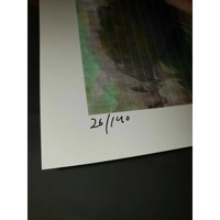 44606418