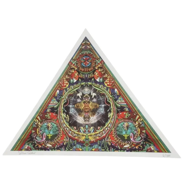 Steven Cerio Blotter Art Triangle ’Diamond shaped