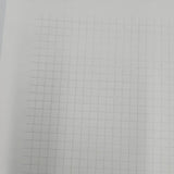 Blank Blotter Art sheet blank perforated #100 hemp blotter